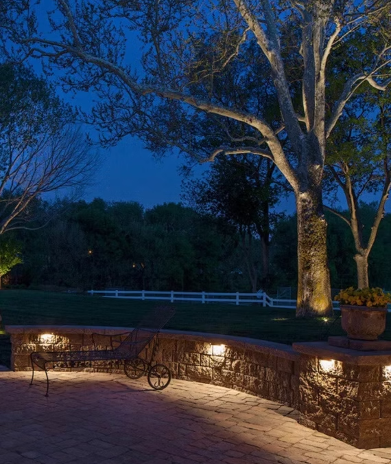 Garden trees and raised planting beds illuminated at dusk